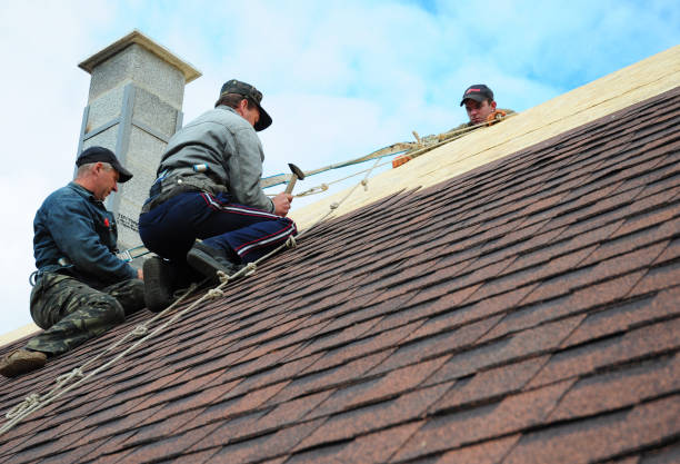 Best Storm Damage Roof Repair  in Nederland, TX