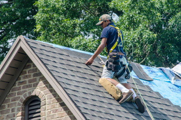 Professional Roofing Contractor in Nederland, TX